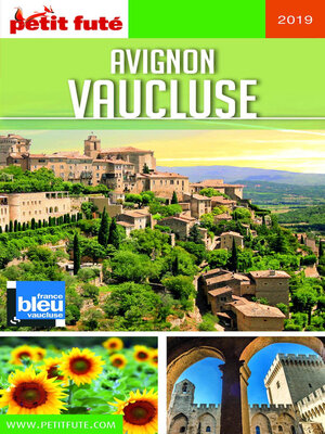 cover image of AVIGNON--VAUCLUSE 2019 Petit Futé